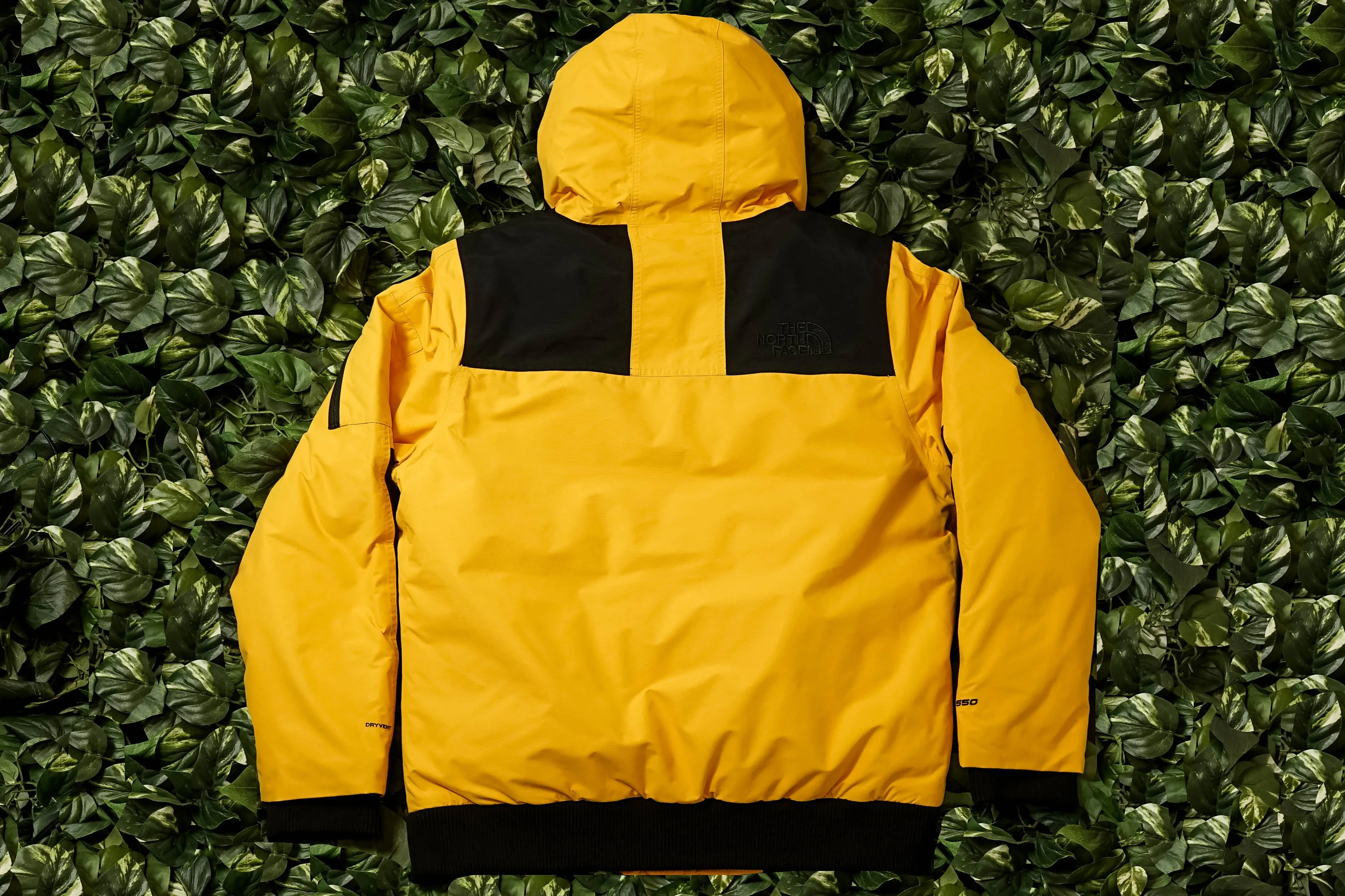 The North Face Newington Jacket [NF0A3XDY70M]