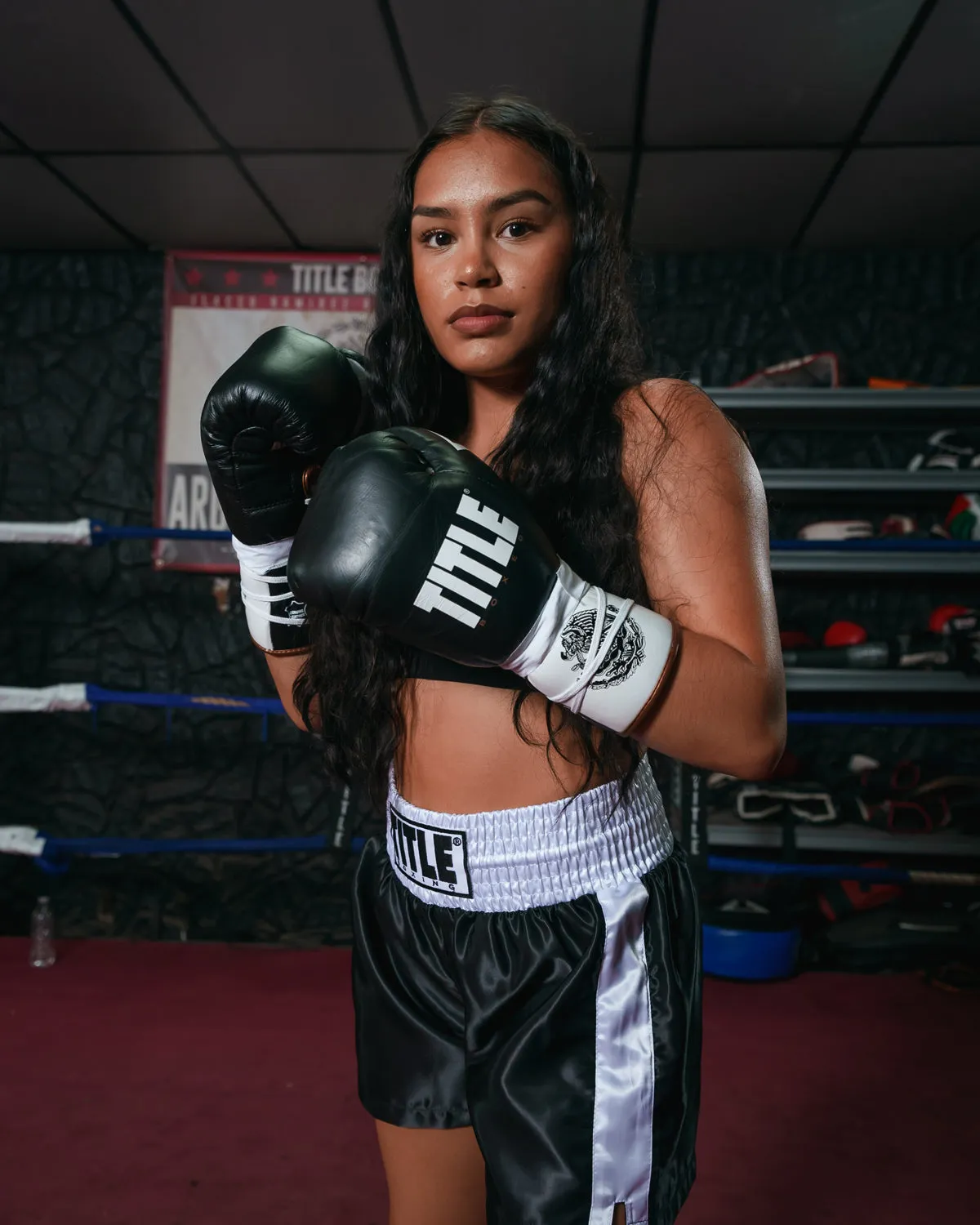TITLE Boxeo Pro Fight Gloves